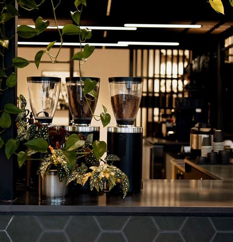 Elegy coffee - Feb 10, 2023 · PostedFebruary 10, 2023. Tweet. Share. Elegy Coffee, which has thrived for two years in East Nashville, opened a new shop in Germantown Wednesday. 